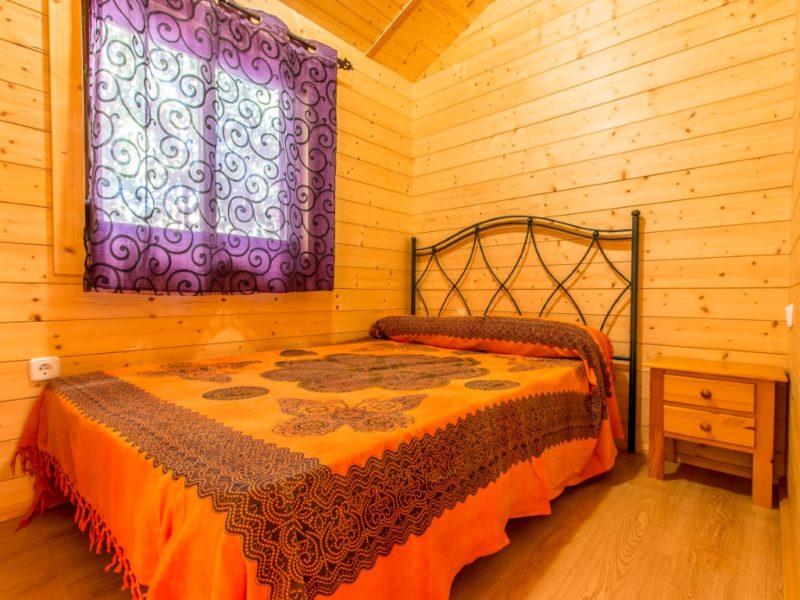 IMG_9310-HDR-800x600