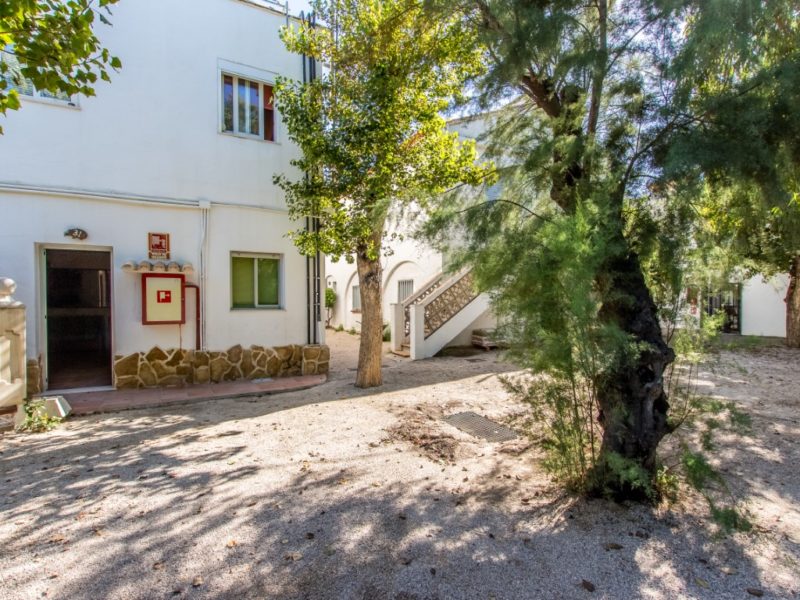 IMG_9362-HDR-Mediano-800x600