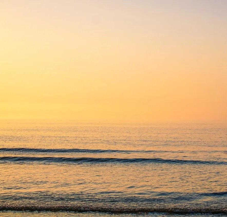 camping_san_vicente_valencia (1)